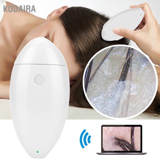  KODAIRA ไร้สาย HD WIFI รูขุมขนเครื่องตรวจจับหนังศีรษะเครื่องวิเคราะห์ผิวดิจิตอลกล้องจุลทรรศน์เครื่องมือ