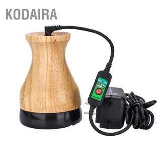 KODAIRA เข็มหินความร้อนอินฟราเรดไกลขูด Moxibustion เครื่องนวดกายภาพบำบัดไฟฟ้าที่อบอุ่น