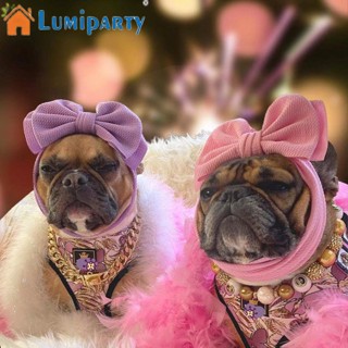 Lumiparty ที่คาดผม ประดับโบว์น่ารัก พร็อพถ่ายรูป สําหรับสัตว์เลี้ยง สุนัข