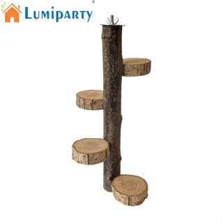 Lumiparty คอนนกยืน แบบไม้ธรรมชาติ สําหรับนกแก้ว นกเลิฟเบิร์ด แอฟริกัน