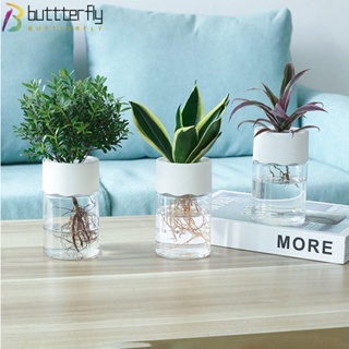 Buttterfly แจกันต้นไม้ไฮโดรโปนิก ทรงกลม สําหรับตกแต่งบ้าน ออฟฟิศ 2 ชิ้น