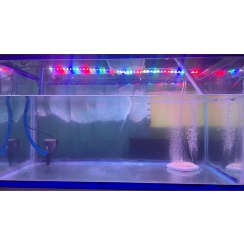 ไฟตู้ปลา LED RGB (ปรับสีได้3สเต็ป) T4 รุ่น T800/T900/T1000/T1200 ช่วยทำให้ตู้ปลาสวยงามยิ่งขึ้น