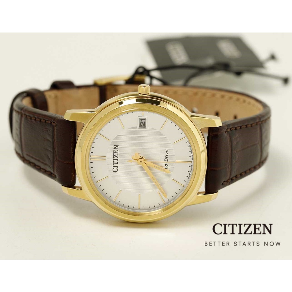 Power Watch CITIZEN Eco-Drive FE6012-11A Leather Lady  Watch (นาฬิกาผู้หญิงพลังงานแสง)