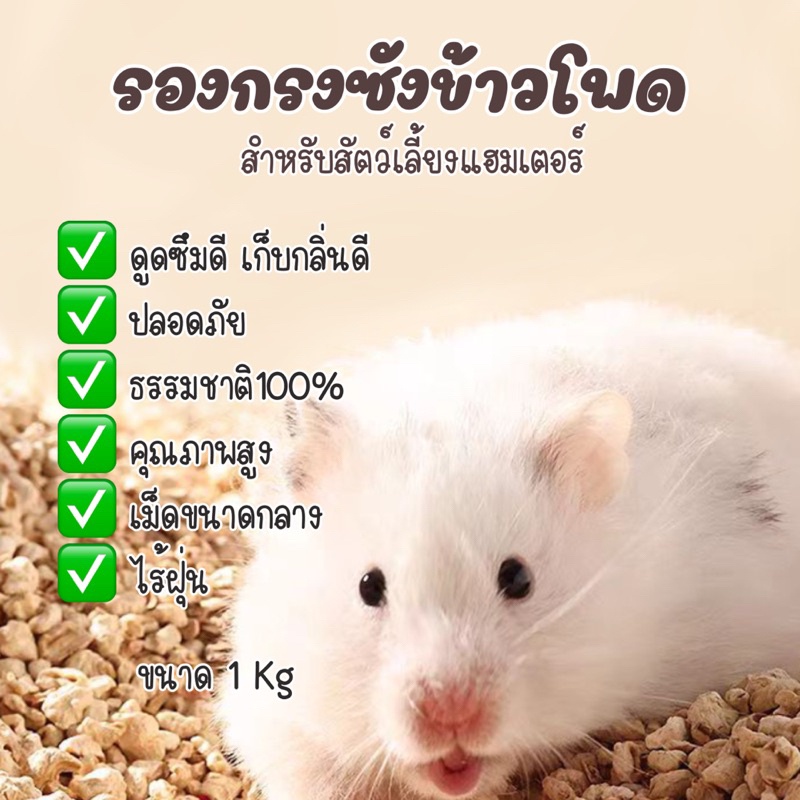 รูปภาพ 3