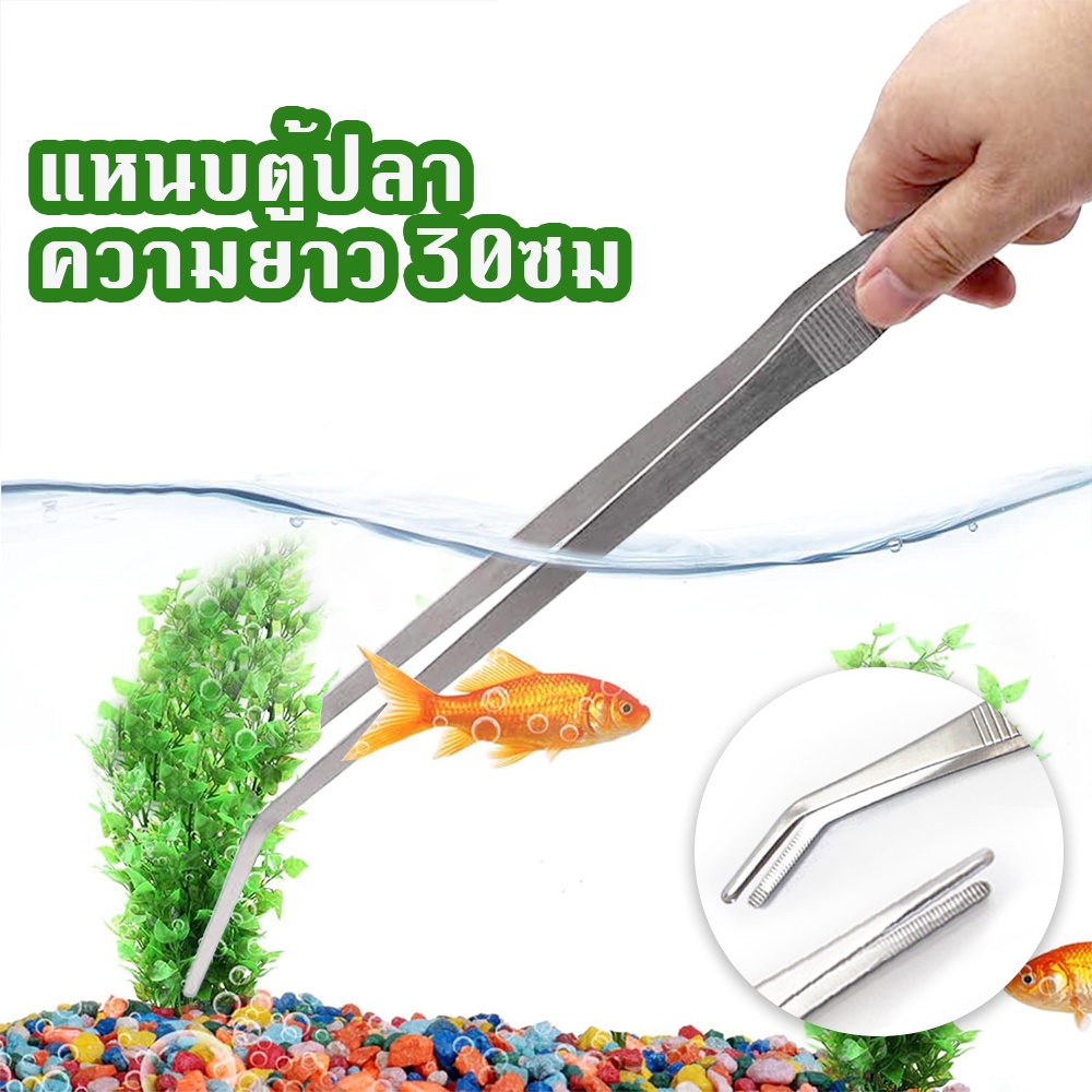 🎏【30ซม】แหนบยักษ์ แหนบตรง แหนบโค้ง แหนบสแตนเลส แหนบตกแต่งตู้ปลา ให้อาหารแหนบสัตว์