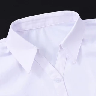 ปกคอเสื้อปลอม สีขาว สีดํา ป้องกันสิ่งสกปรก สไตล์นักธุรกิจ