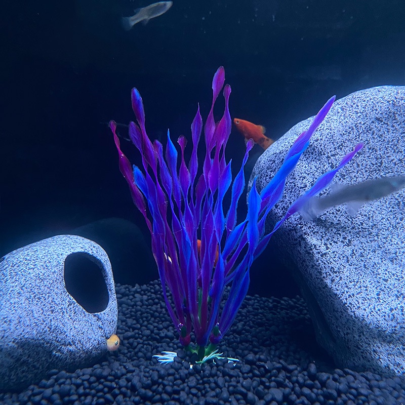 สาหร่ายทะเลประดิษฐ์น้ําพืชสําหรับพิพิธภัณฑ์สัตว์น้ําพลาสติกตู้ปลาพืชน้ําวัชพืชเครื่องประดับหญ้าดูอุปกรณ์ตกแต่ง