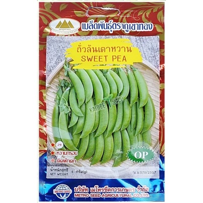 เมล็ดถั่วลันเตาหวาน SWEET PEA MT/OP-029 ถั่วลันเตา ถั่วลันเตาหวาน เมล็ดผักสวนครัว เมล็ดพันธุ์ผัก