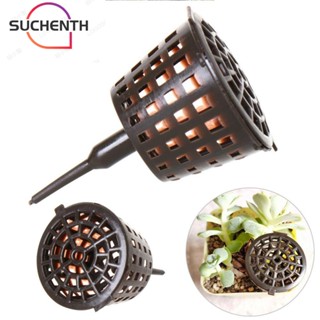 Suchenth กล่องปุ๋ยบอนไซ ขนาดเล็ก 20 ชิ้น