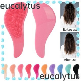 Eucalytus1 หวีจัดแต่งทรงผม แฟชั่น สําหรับร้านทําผม 2 ชิ้น