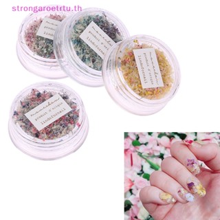 Strongaroetrtu อุปกรณ์ตกแต่งเล็บ จี้ดอกไม้แห้ง 3D หลายสีสัน สําหรับตกแต่งเล็บ DIY