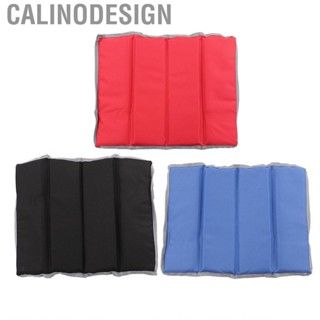 Calinodesign Portable Folding Sit Mat  Floor Pad Cushion For Picnic Camping Beach