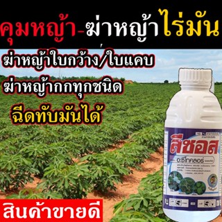 💥ยาคุมหญ้า💥1ลิตร คุมหญ้าในมัน ฆ่าหญ้าในไร่สับปะรด ในไร่สับปะรด ไร่มันสัมปะหลัง ทั้งใบกว้างและใบแคบ ฆ่าหญ้าในไร่ (ลีซอส