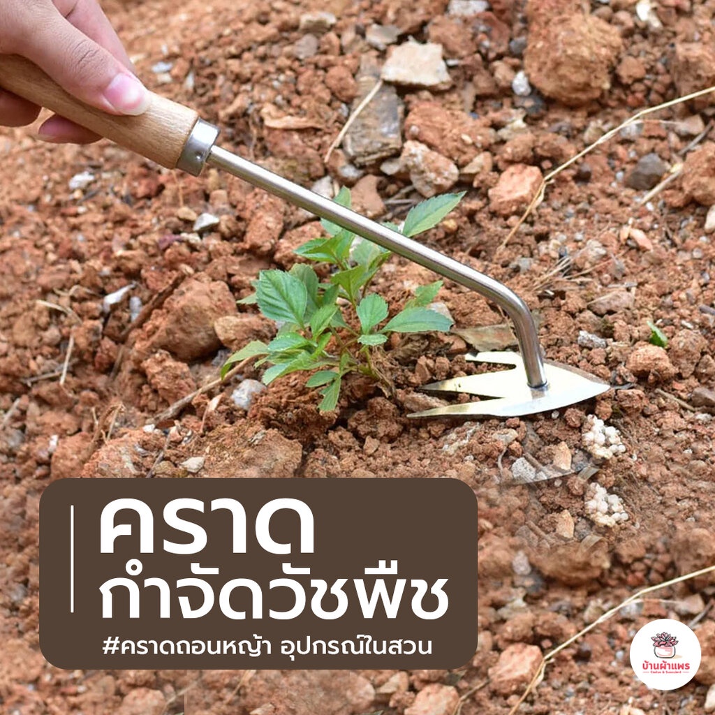 คราดกำจัดวัชพืช คราดถอนหญ้า อุปกรณ์ในสวน