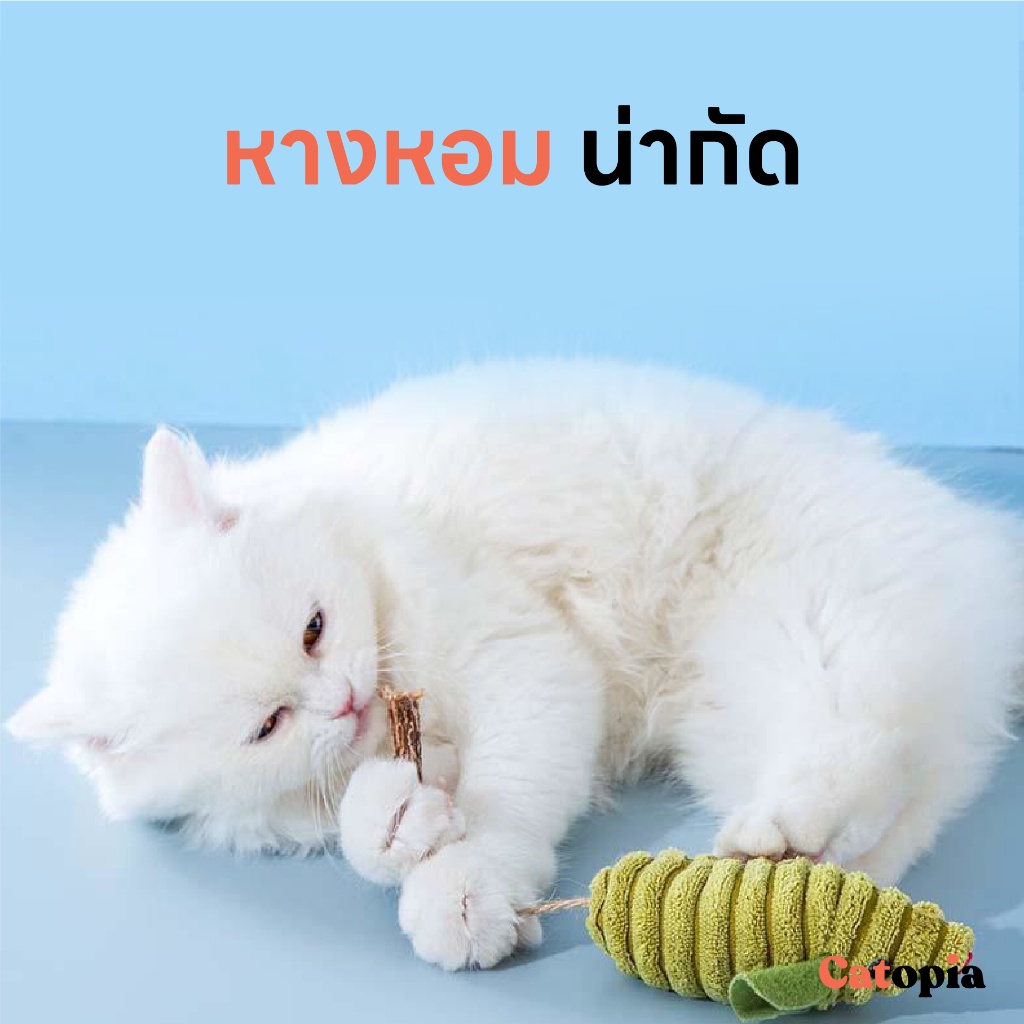 [  พร้อมส่ง] ตุ๊กตาหนูมาทาทาบิ สอดไส้หญ้าแมว ของเล่นแมว ไม้ขัดฟัน ตุ๊กตาหนู ล่อแมว แมวขบ Catnip Selected By Catopia