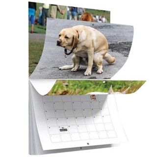 2024 Pooping Dogs Calendar,Dog Pooping in Beautiful Place Calendar For Dog Lover