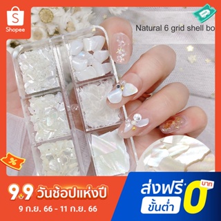 Pota เลื่อมหอยเป๋าฮื้อ 3D หลากสี สําหรับตกแต่งเล็บ 1 กล่อง