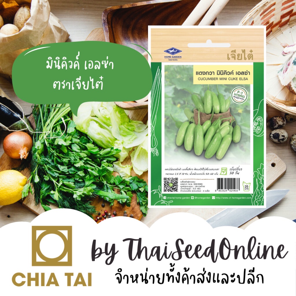 Chia Tai(เจียไต๋) CTF1 เมล็ดพันธุ์ แตงกวา มินิคิวค์ เอลซ่า ประมาณ 4 เมล็ด ตราเจียไต๋ Minicuke Elsa Cucumber