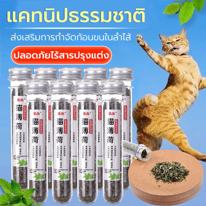 ผงแคทนิปแมว กัญชาแมว 45ml  Cat Mint ผงแคทนิป กัญชาแมว แคทนิปกัญชาแมว ช่วยขับถ่ายขน แคทนิป ราคา ถูกที่สุด ดีลบีเคเค