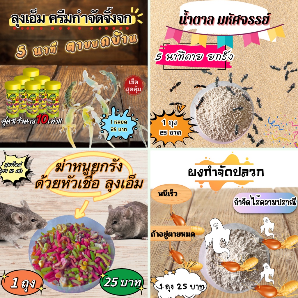 ครีมกำจัดจิ้งจก เหยื่อกำจัดปลวก น้ำตาลมหัศจรรย์กำจัดมด เหยื่อ กำจัดหนู จัดเซ็ตรวมให้เลย4 อย่างเลย