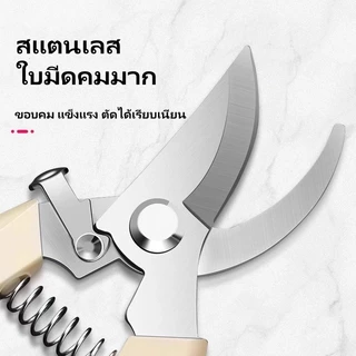 กรรไกรตัดกิ่งไม้/กรรไกรตัดกิ่งไม้ในครัวเรือน/กรรไกรตัดกิ่งไม้อเนกประสงค์ประหยัดแรงงาน