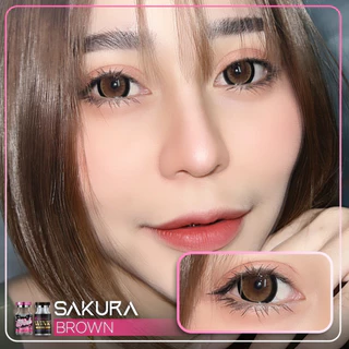 💋 มีค่าสายตา 💋 Wink sakura Gray Brown 💋 บิ๊กอาย รายเดือน มีอย แถมตลับฟรี กรองแสง มีอย. เลนส์นิ่ม สวยปังมาก ตาโต Tiktok