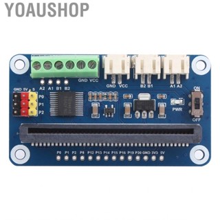 Yoaushop Board For Micro:bit Control 2-Way DC 3-Way Steering