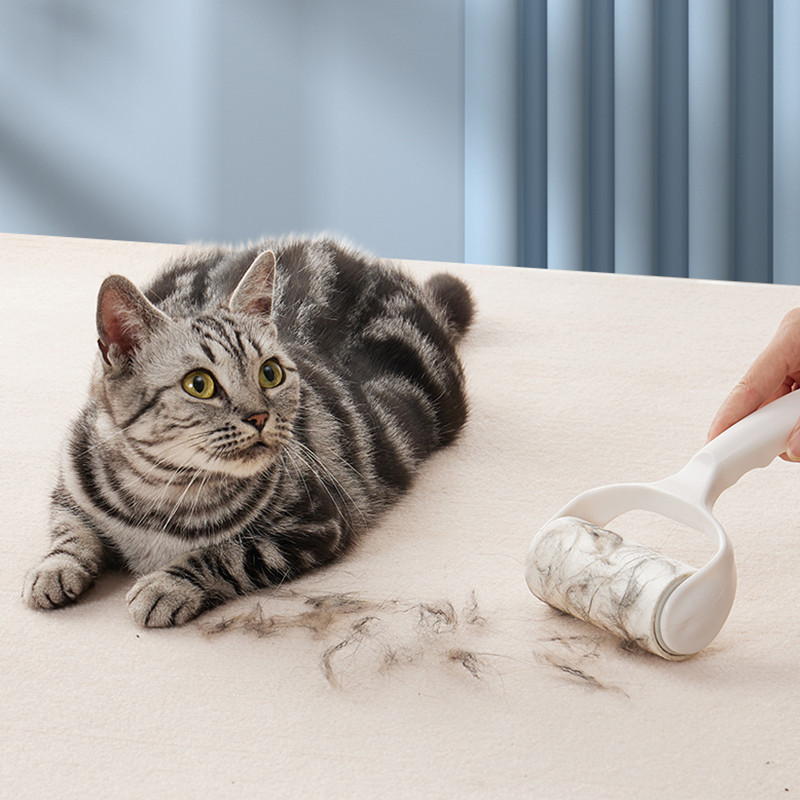 รูปภาพ 3