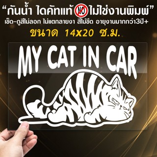 สติ๊กเกอร์น้องแมว จอมมึน  MY CAT IN CAR ในรถมีเด็ก ขนาด 14x20 ซ.ม.