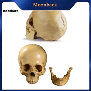 &lt;moonback&gt; โมเดลหัวกะโหลก 1 1 ตัว ถอดได้ สมจริง เพื่อการศึกษากายวิภาคศาสตร์ สําหรับนักเรียน ของขวัญฮาโลวีน