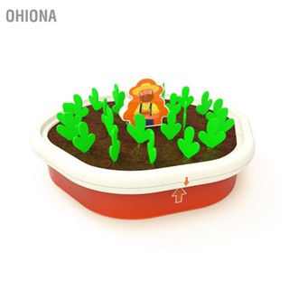  OHIONA เด็กแครอท Harvest เกมการจับคู่สีหน่วยความจำการฝึกอบรม 24 ชิ้นหัวไชเท้าดึงของเล่นเพื่อการศึกษา