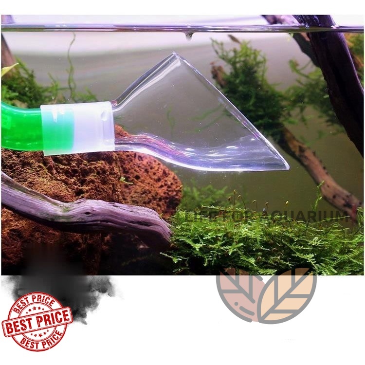 Arcylic filter lily pipe outlet fittings 12/16mm 16/22mm ฝาครอบเอ้าโฟลทรง ลิลลี่ Life For Aquarium