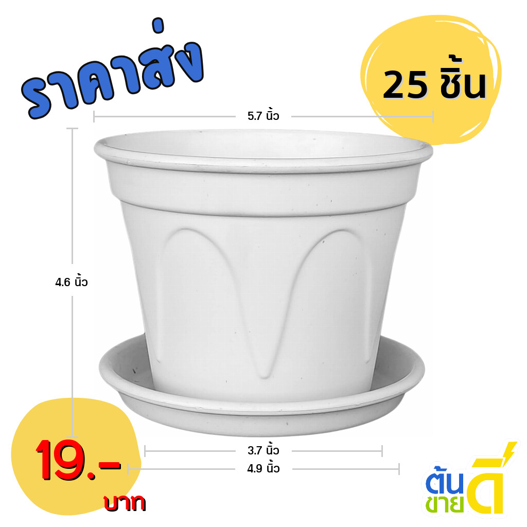 กระถาง กระถางต้นไม้ กระถาง ลายย้อย + จาน ขนาด 6 นิ้ว สีขาว 25 ใบ ชิ้น อัน