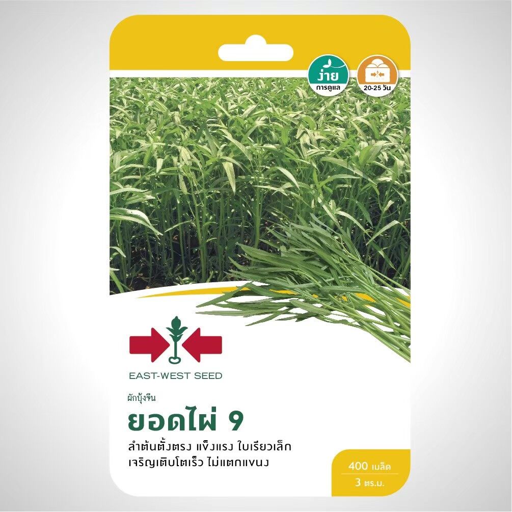 ผักบุ้งจีน ยอดไผ่ 9 SD/F1-041 ผักซองศรแดงEast-West Seed Kangkong seeds ผักบุ้ง เมล็ดพันธุ์ผักสวนครัว