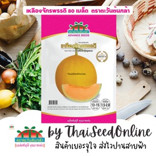 ADVPREMIUM แคนตาลูป เหลืองจักรพรรดิ 80 เมล็ด ตราตะวันต้นกล้า