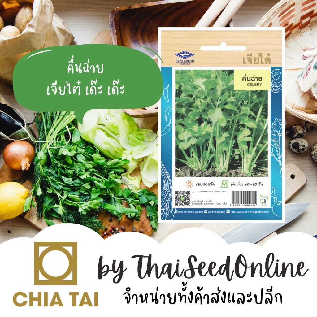 เจียไต๋ CTOP เมล็ดพันธุ์ คึ่นฉ่าย คื่นช่าย 7500 เมล็ด ตราเจียไต๋ Celery