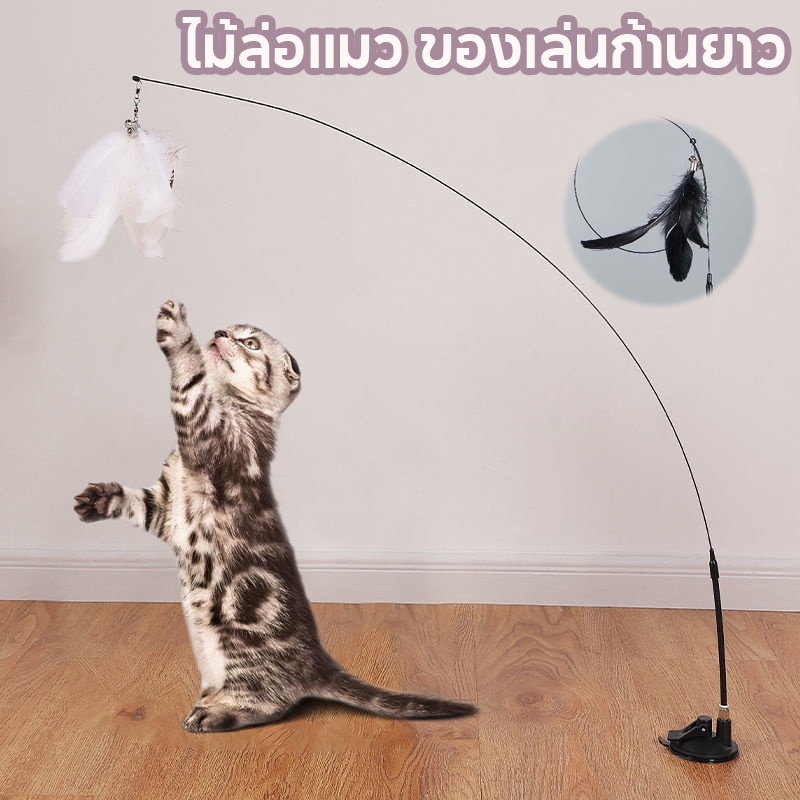 😻พร้อมส่ง😻ของเล่นแมว ของเล่นล่อแมว ม้ล่อแมว ติดพื้นไม้ตกแมว ขนนก แบบปุ่มดูดสุญญากาศ