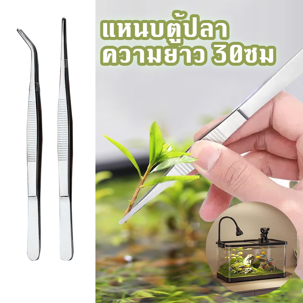 แหนบ แหนบยักษ์ แหนบสแตนเลส แหนบตรง แหนบโค้ง แหนบตกแต่งตู้ปลา แหนบให้อาหารสัตว์ ขนาด 30ซม.