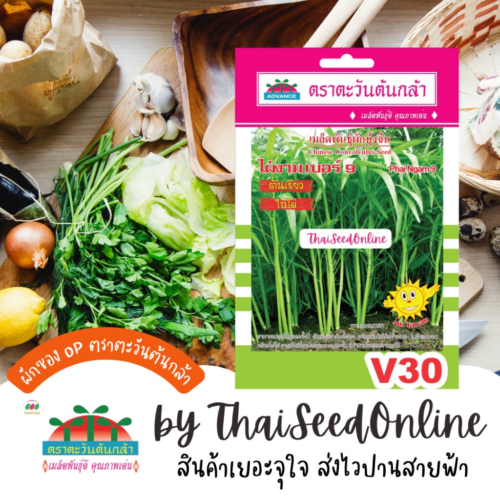 Advance Seeds(ตราตะวันต้นกล้า) ADVOP ซฟ เมล็ดพันธุ์ ผักบุ้งไผ่งาม เบอร์9 ตราตะวันต้นกล้า V30 Moring Glory 空心菜