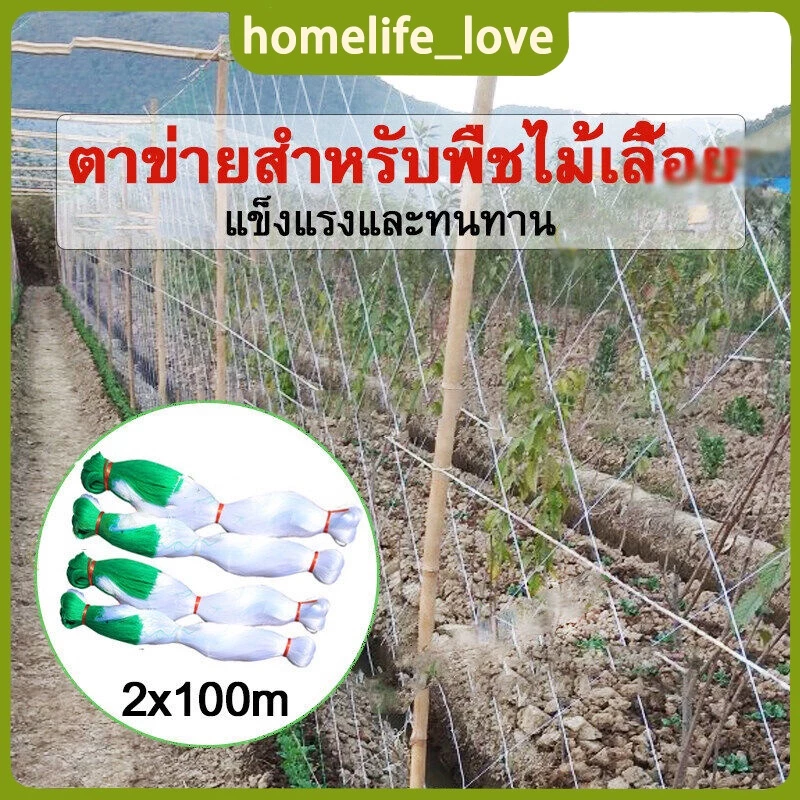 ตาข่ายปลูกผัก ทำค้าง แตงกวา ถั่ว ไม้เลื้อย อุปกรณ์เกษตร