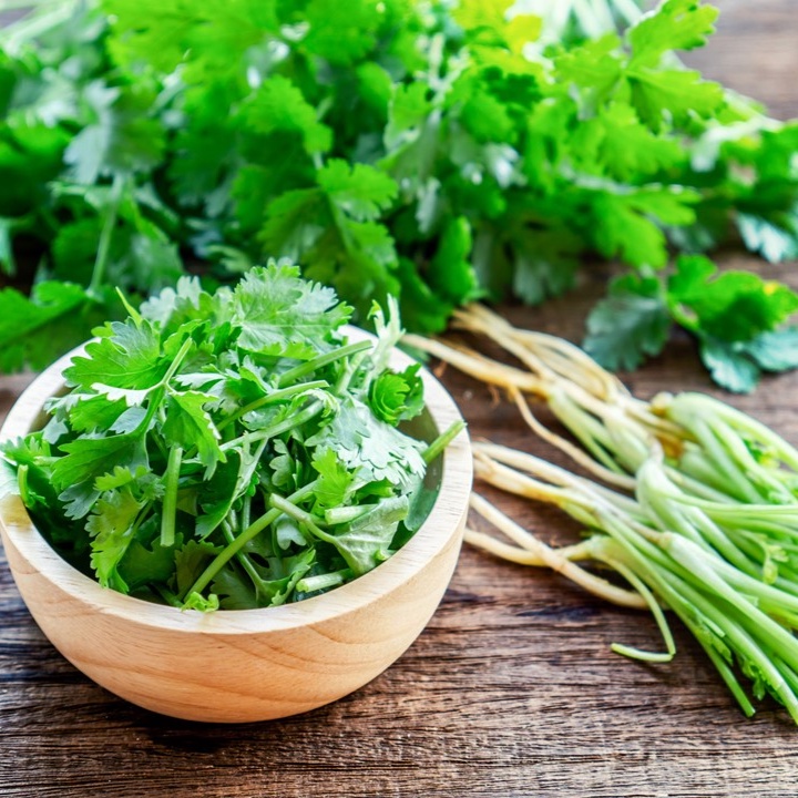 เมล็ดพันธุ์ ผักชี ผักชีหอม ผักชีไทย 10 กรัม [10 แถม 1 คละได้]