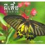 Bundanjai (หนังสือ) ผีเสื้อแสนสวย