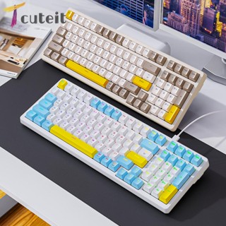 Tcuteit คีย์บอร์ดเครื่องเล่น RGB 100 คีย์ เอฟเฟคไฟ 19 แบบ สําหรับคอมพิวเตอร์ตั้งโต๊ะ