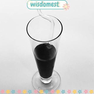 Wisdomest หลอดดูดน้ํา เป็นมิตรกับสิ่งแวดล้อม ใช้ซ้ําได้ อุปกรณ์เสริม สําหรับปาร์ตี้ บาร์