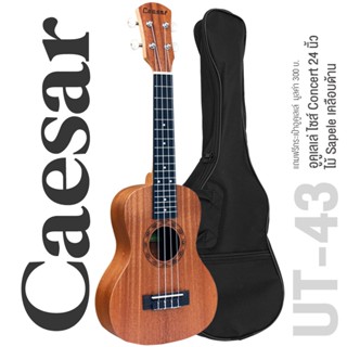 Caesar UT-43 Concert Ukulele อูคูเลเล่ ไซส์ Concert 24 นิ้ว ไม้ Sapele ลายไม้ เคลือบด้าน + แถมฟรีกระเป๋าอูคูเลเล่