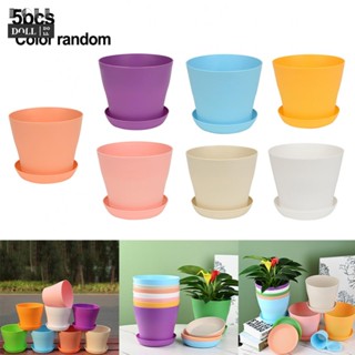 ⭐NEW ⭐Plant Pot Open Flowerpot Plant Care Resin Small Plastic Succulent Plant