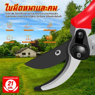 ✂️ สินค้าพร้อมส่ง✂️กรรไกรตัดกิ่งไม้ กรรไกรตัดหญ้า แต่งสวน กรรไกรตัดกิ่ง sk5#B-097