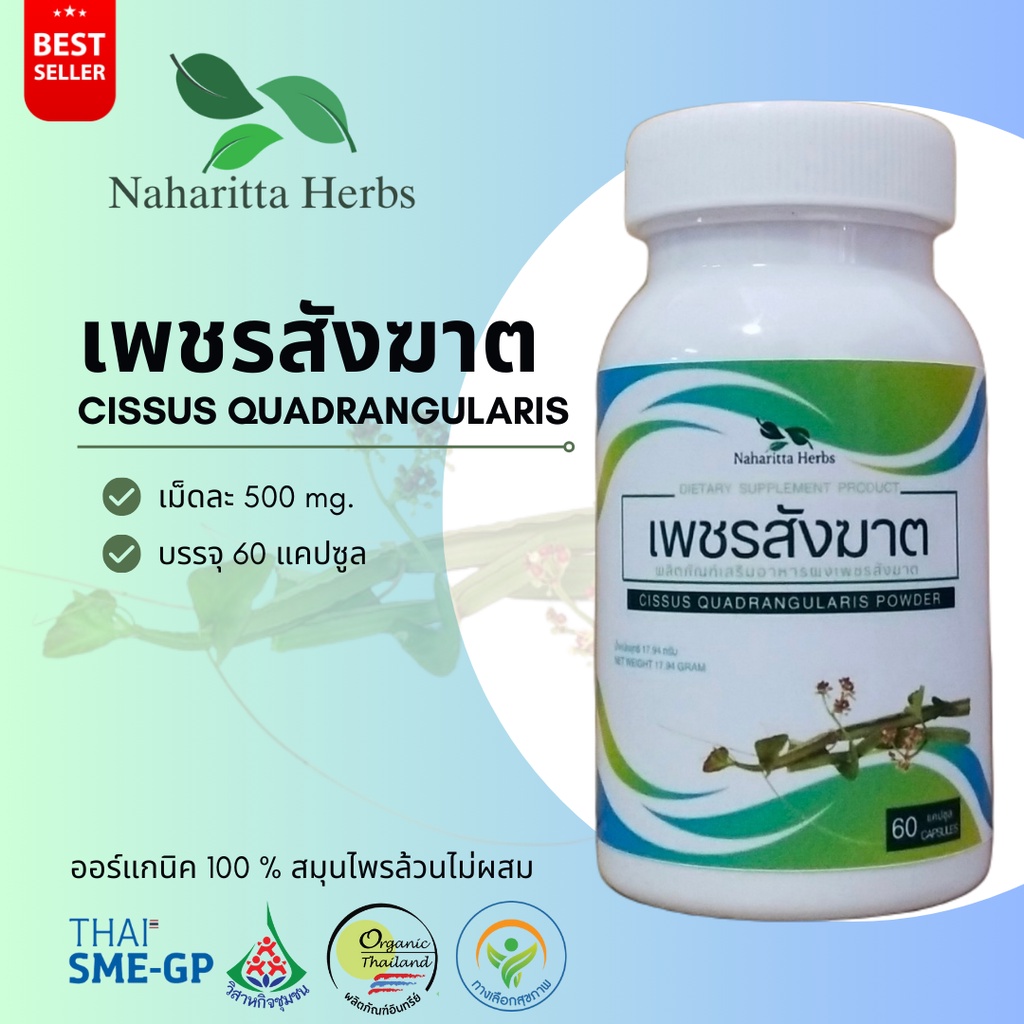 เพชรสังฆาต Cissus quadrangularis 100% 60cap. ส่งไว คุณภาพดี