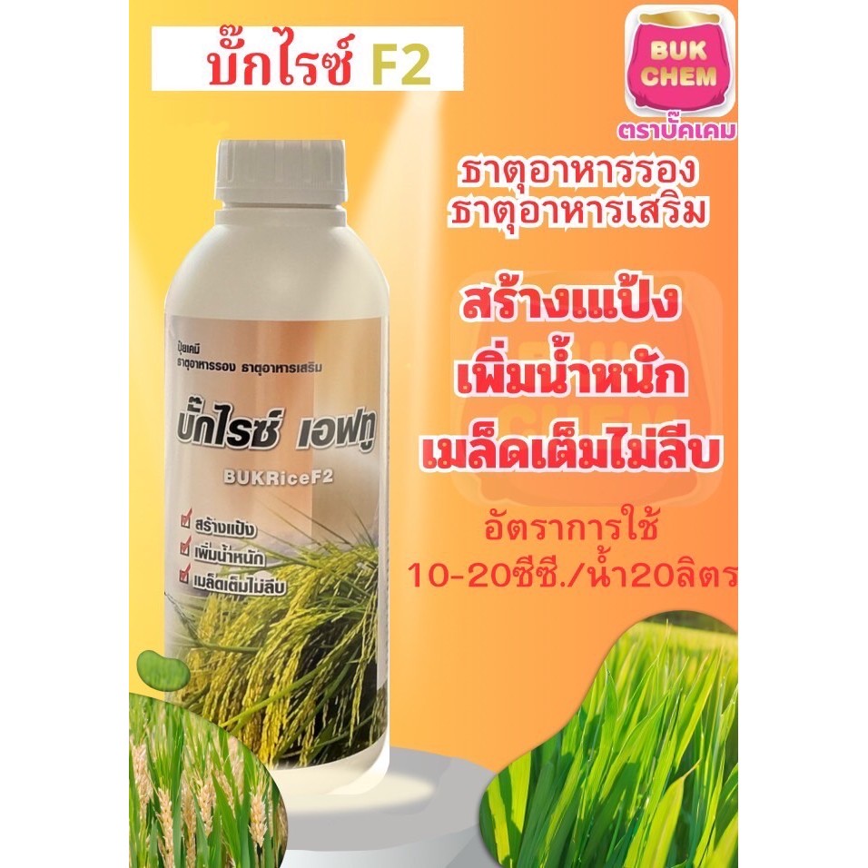 อะมิโนข้าว ( บั๊คไลซ์ F2 ) สูตรรับรวง ข้าวรวงใหญ่ เมล็ดเต็มรวง อวบ ได้น้ำหนัก ลดการหลุดร่วง ขนาด 1 ลิตร ปุ๋ยน้ำ