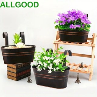 Allgoods แจกันดอกไม้ โลหะ ทรงวงรี แบบแขวนผนัง ถอดออกได้ พร้อมตะขอ สําหรับตกแต่งบ้าน